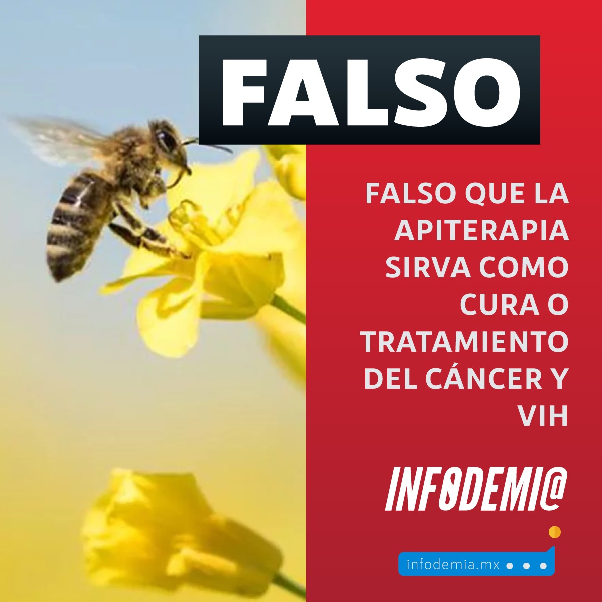 InfodemiaMx